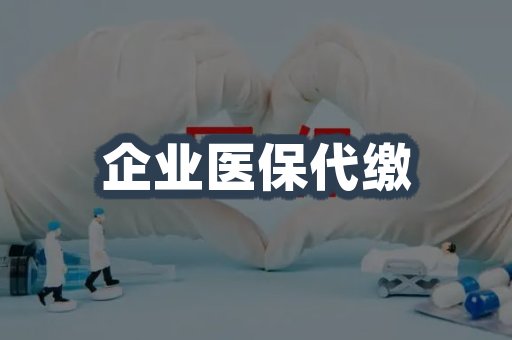 企业医保代缴